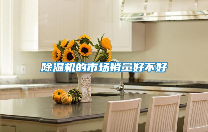除湿机的市场销量好不好