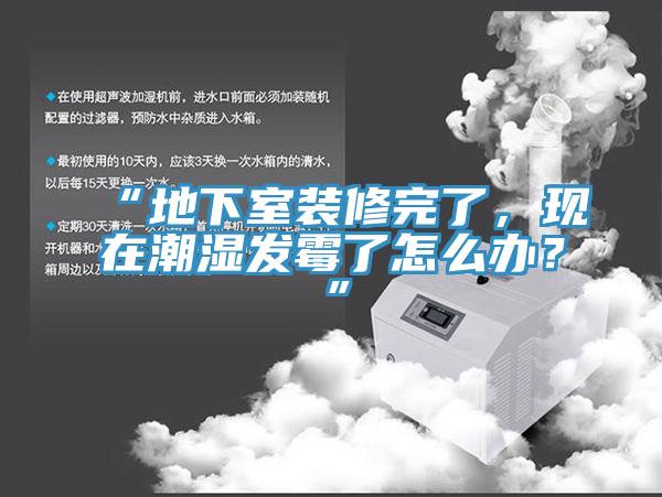 “地下室装修完了，现在潮湿发霉了怎么办？”