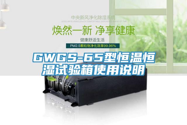 GWGS-65型恒温恒湿试验箱使用说明