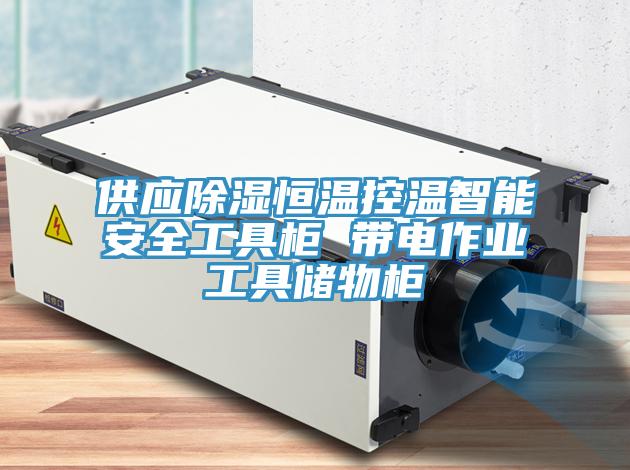 供应除湿恒温控温智能安全工具柜 带电作业工具储物柜