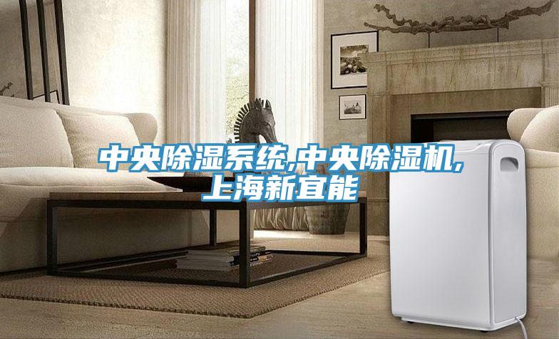 中央除湿系统,中央除湿机,上海新宜能