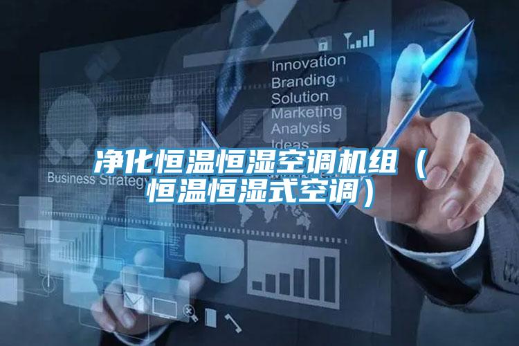 净化恒温恒湿空调机组（恒温恒湿式空调）