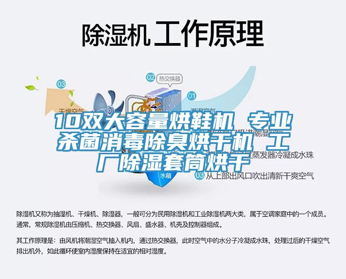 10双大容量烘鞋机 专业杀菌消毒除臭烘干机 工厂除湿套筒烘干