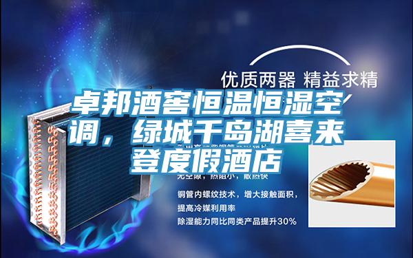 卓邦酒窖恒温恒湿空调，绿城千岛湖喜来登度假酒店