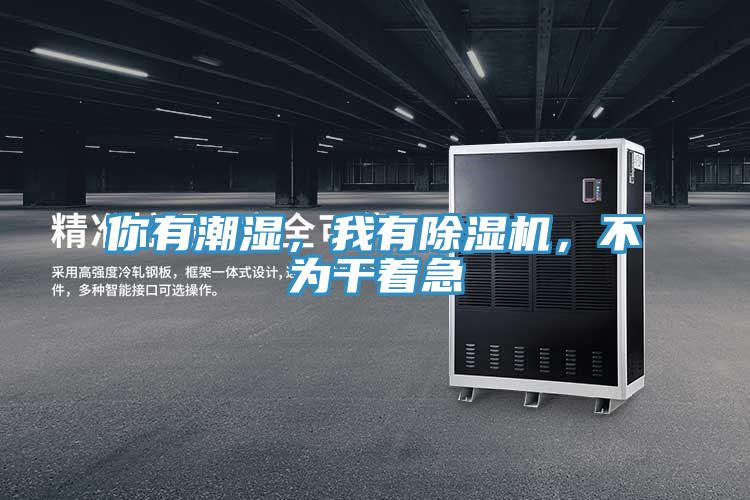 你有潮湿，我有除湿机，不为干着急