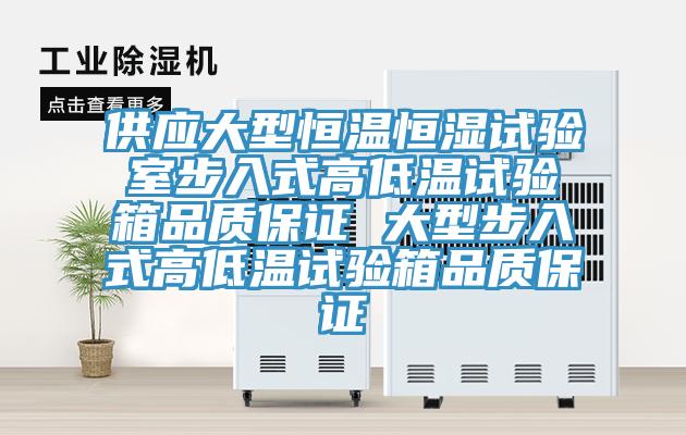 供应大型恒温恒湿试验室步入式高低温试验箱品质保证 大型步入式高低温试验箱品质保证