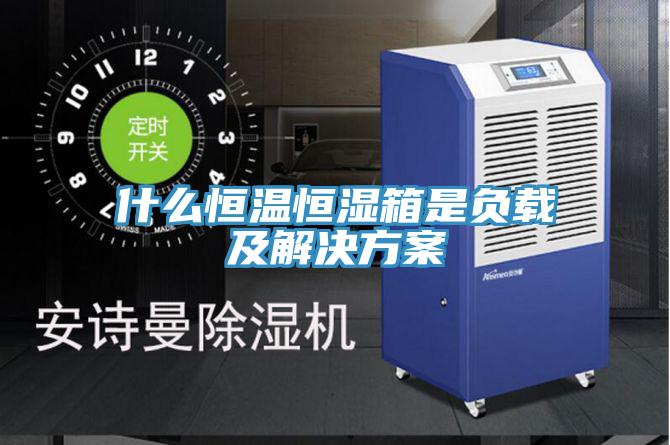什么恒温恒湿箱是负载及解决方案