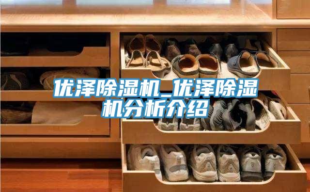 优泽除湿机_优泽除湿机分析介绍