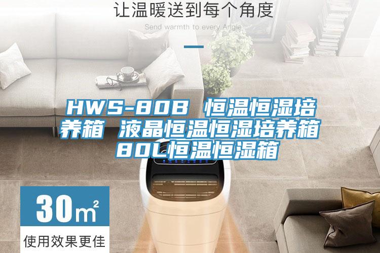 HWS-80B 恒温恒湿培养箱 液晶恒温恒湿培养箱 80L恒温恒湿箱