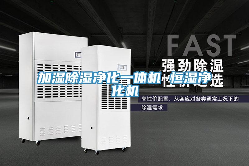 加湿除湿净化一体机 恒湿净化机
