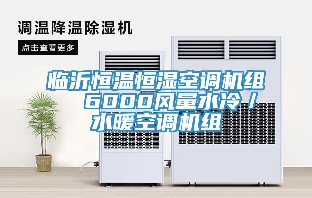 临沂恒温恒湿空调机组  6000风量水冷／水暖空调机组