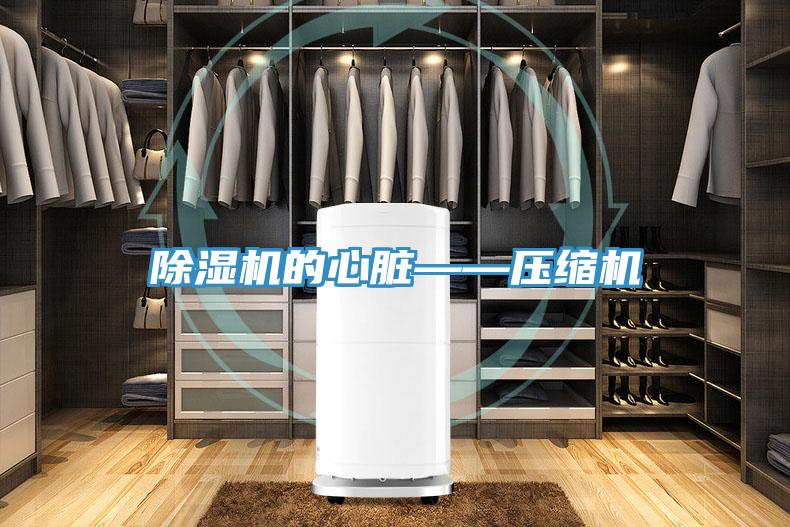 除湿机的心脏——压缩机