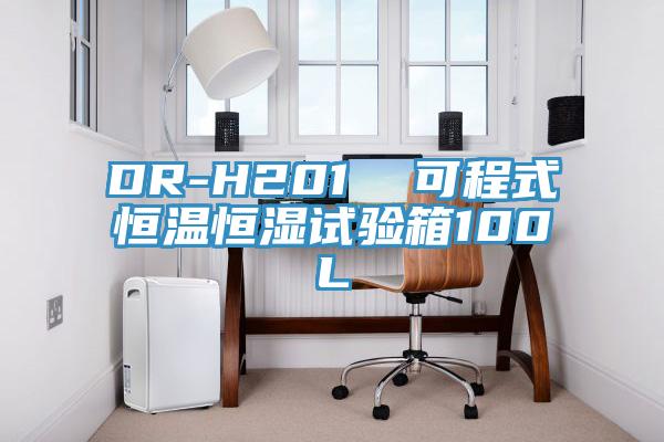 DR-H201  可程式恒温恒湿试验箱100L