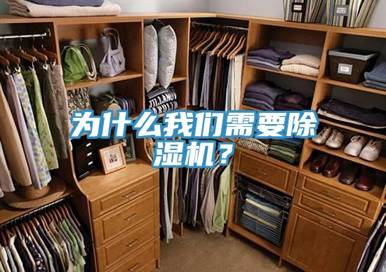 为什么我们需要除湿机？