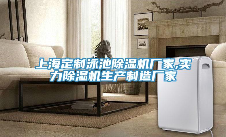 上海定制泳池除湿机厂家,实力除湿机生产制造厂家