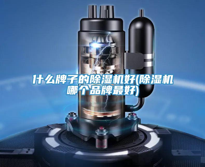 什么牌子的除湿机好(除湿机哪个品牌最好)