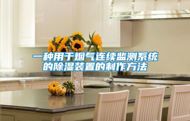 一种用于烟气连续监测系统的除湿装置的制作方法