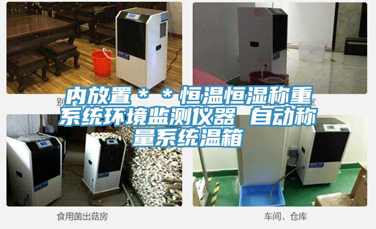 内放置＊＊恒温恒湿称重系统环境监测仪器 自动称量系统温箱