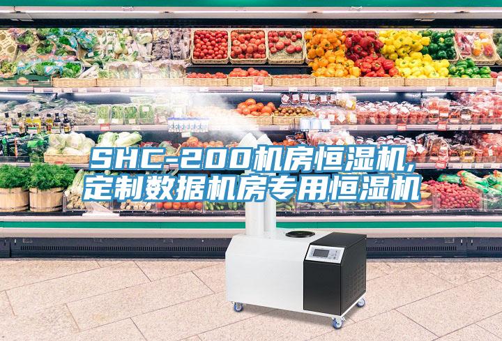 SHC-200机房恒湿机,定制数据机房专用恒湿机