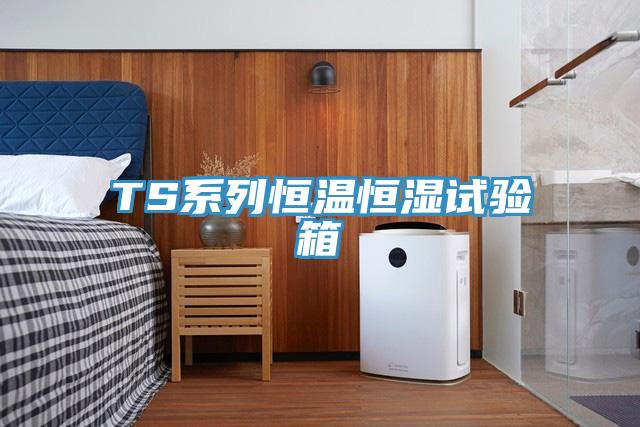 TS系列恒温恒湿试验箱