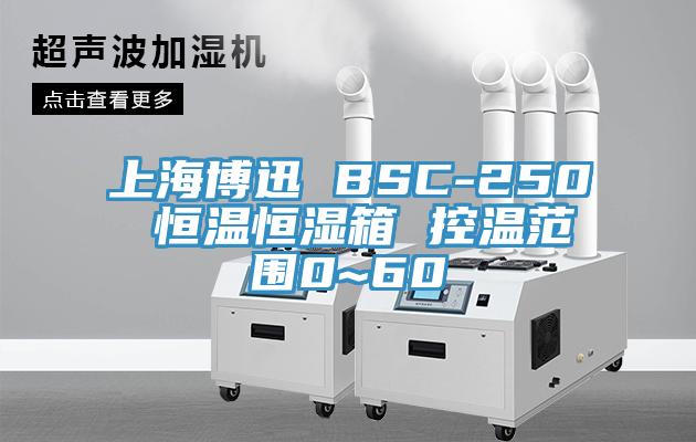 上海博迅 BSC-250 恒温恒湿箱 控温范围0~60℃
