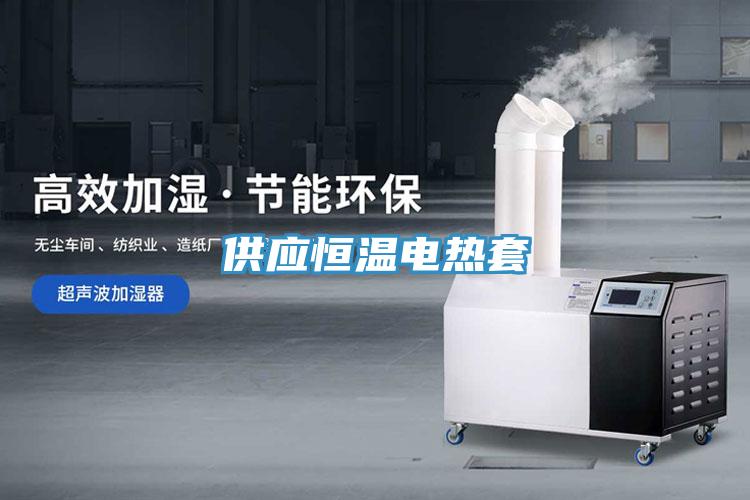 供应恒温电热套