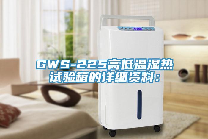 GWS-225高低温湿热试验箱的详细资料：