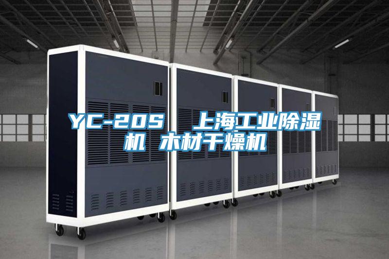YC-20S  上海工业除湿机 木材干燥机