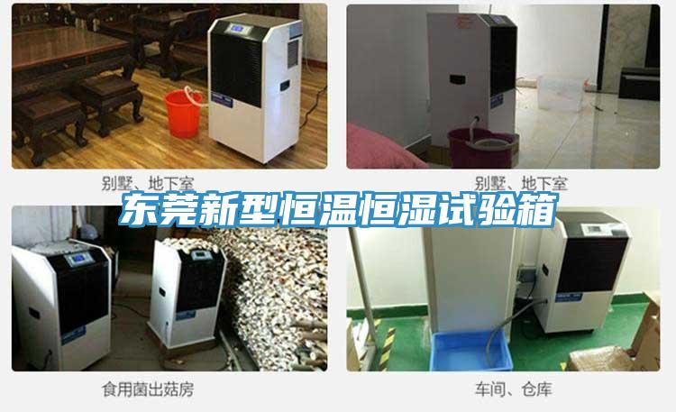 东莞新型恒温恒湿试验箱