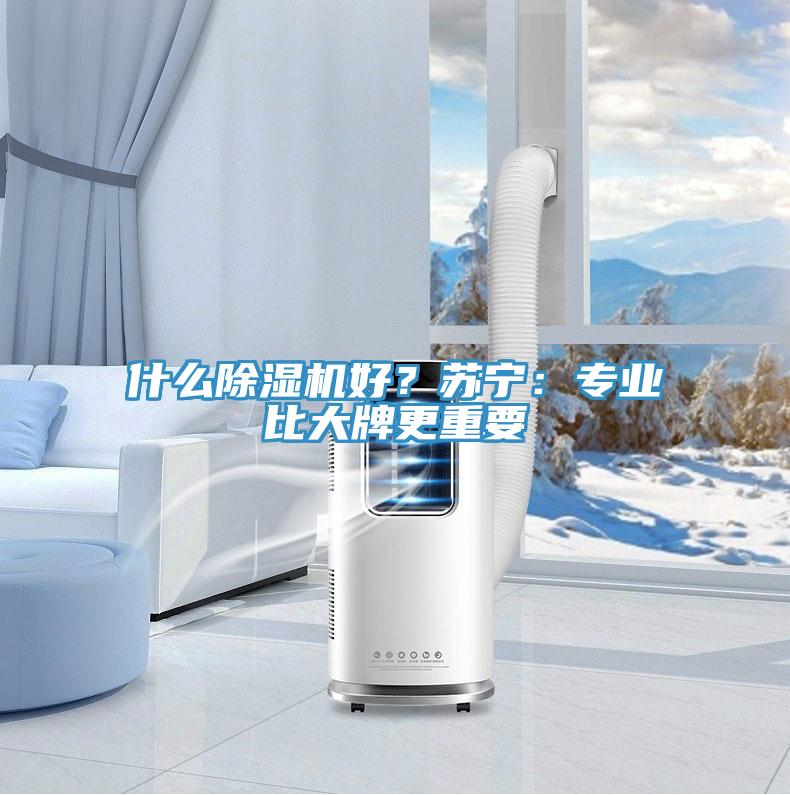什么除湿机好?苏宁:专业比大牌更重要