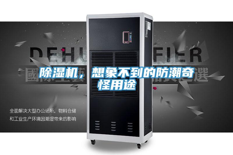 除湿机，想象不到的防潮奇怪用途