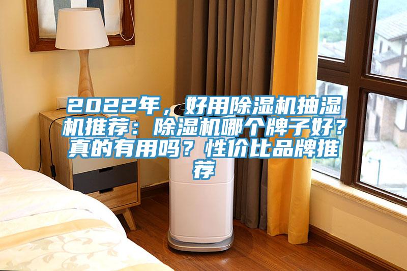 2022年，好用除湿机抽湿机推荐：除湿机哪个牌子好？真的有用吗？性价比品牌推荐