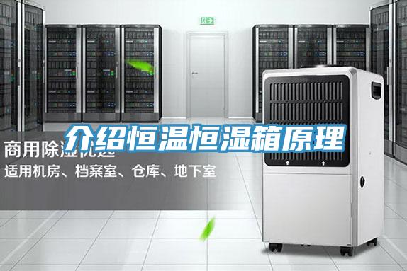 介绍恒温恒湿箱原理
