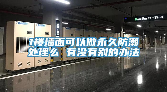 1楼墙面可以做永久防潮处理么 有没有别的办法