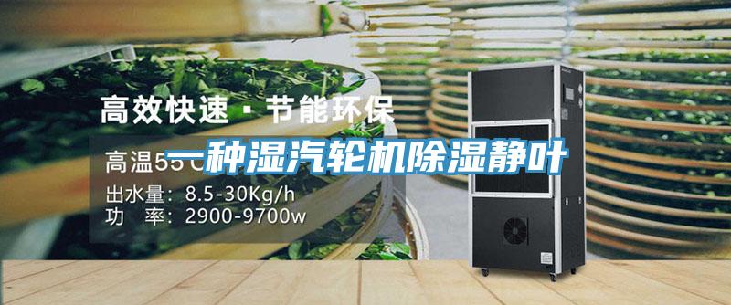 一种湿汽轮机除湿静叶