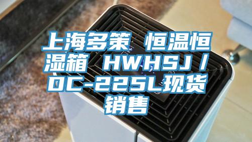 上海多策 恒温恒湿箱 HWHSJ／DC-225L现货销售