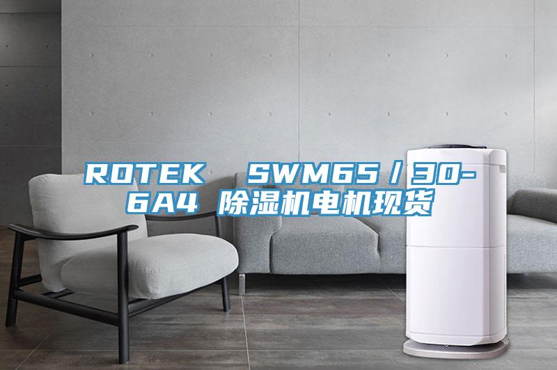 ROTEK  SWM65／30-6A4 除湿机电机现货