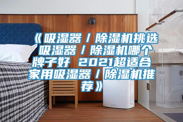 《吸湿器／除湿机挑选 吸湿器／除湿机哪个牌子好 2021超适合家用吸湿器／除湿机推荐》