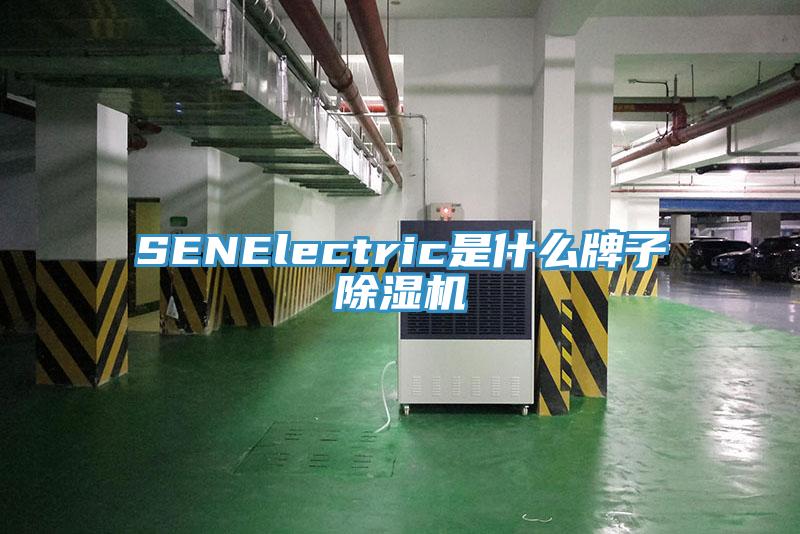 SENElectric是什么牌子除湿机
