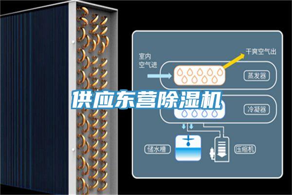 供应东营除湿机