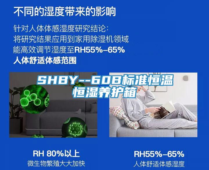 SHBY--60B标准恒温恒湿养护箱