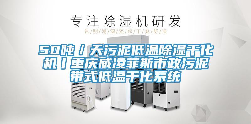 50吨／天污泥低温除湿干化机丨重庆威凌菲斯市政污泥带式低温干化系统