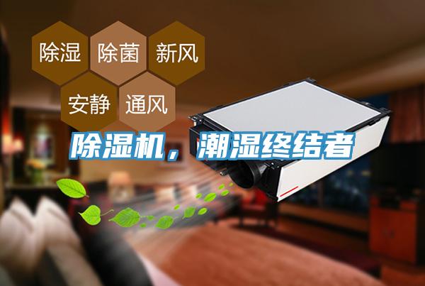 除湿机，潮湿终结者