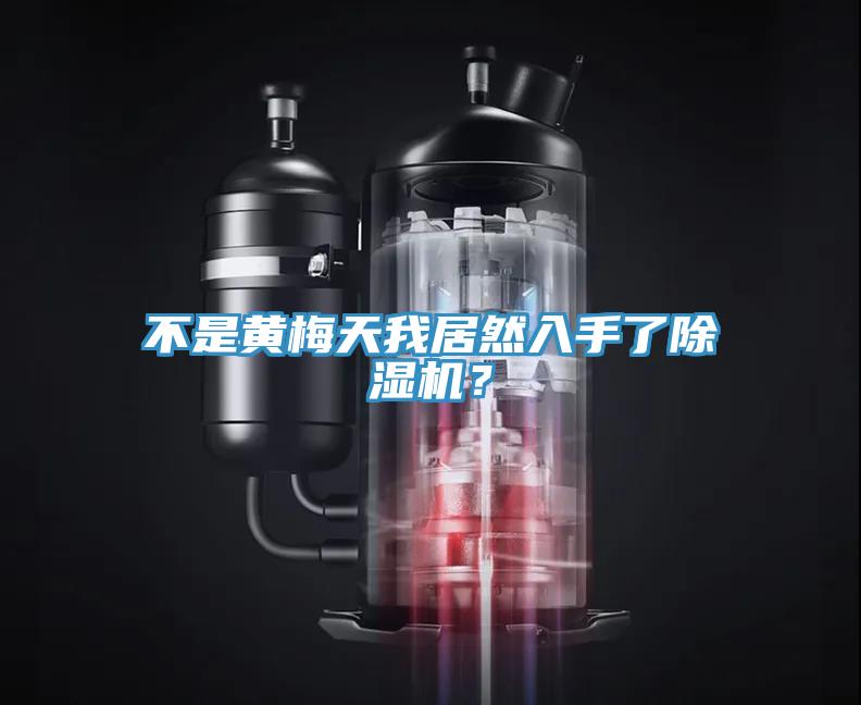 不是黄梅天我居然入手了除湿机？