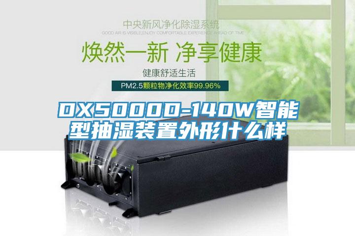 DX5000D-140W智能型抽湿装置外形什么样