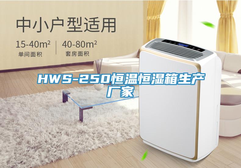 HWS-250恒温恒湿箱生产厂家