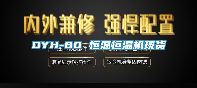 DYH-80 恒温恒湿机现货