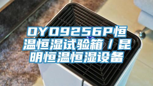 OYO9256P恒温恒湿试验箱／昆明恒温恒湿设备