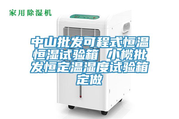 中山批发可程式恒温恒湿试验箱 小榄批发恒定温湿度试验箱定做