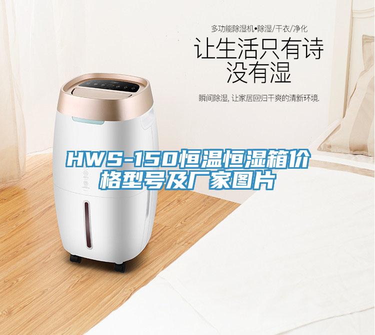 HWS-150恒温恒湿箱价格型号及厂家图片